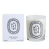 Noisetier Candela 190 gr