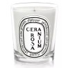 Geranium Rosa Candela 190 gr