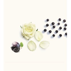 Black IV EDP 50 ml