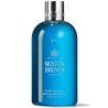 Blissful Templetree Body  Wash 300 ml