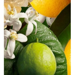 Orange & Bergamot Hand Wash 300 ml