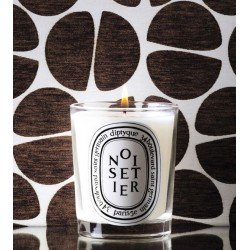 Noisetier Candela 190 gr