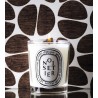 Noisetier Candela 190 gr