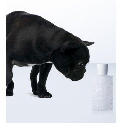 Anyway Edp 100 ml