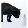 Anyway Edp 100 ml