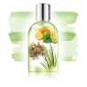 immortel Cedrat Edt 100ml