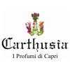 Carthusia